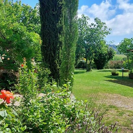 Chianti - Lovely Cottage With Parking & Garden! Castelnuovo Berardenga Exterior foto