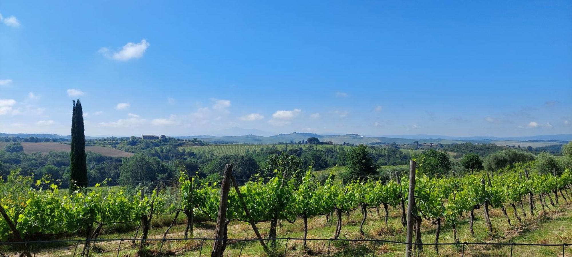Chianti - Lovely Cottage With Parking & Garden! Castelnuovo Berardenga Exterior foto